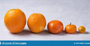 گیاه شناسی که به آن علم گیاه ( ها )، زیست شناسی گیاهی یا گیاه شناسی نیز می گویند ، علم حیات گیاهی و شاخه ای از زیست شناسی است. گیاه شناس ، گیاه شناس یا گیاه شناس دانشمندی است که در این زمینه تخصص دارد. اصطلاح "گیاه شناسی" از کلمه یونانی باستان βοτάνη ( botanē ) به معنای " مرتع "، " گیاهان " " علف " یا " علوفه " گرفته شده است.
