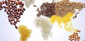این مقاله تجزیه و تحلیل می کند که موضوع تغییرات آب و هوایی تا چه حد محوری است و چگونه در گزارشهای غیر مالی 30 شرکت بزرگ جهان با آن به صورت لفاظی برخورد میشود .تجزیه و تحلیل نشان می دهد که تنوع زیادی در میزان پرداختن به این موضوع وجود دارد و برخی از شرکت ها به سختی به آن اشاره می کنند